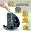 imageSolar Bird Feeders for Outdoors Hanging Bring Three Water Cups  Premium Grade Metal Wild Bird Feeders ChewProof Weather and Water Resistant Bird feeders Outside and Garden Decoration Green
